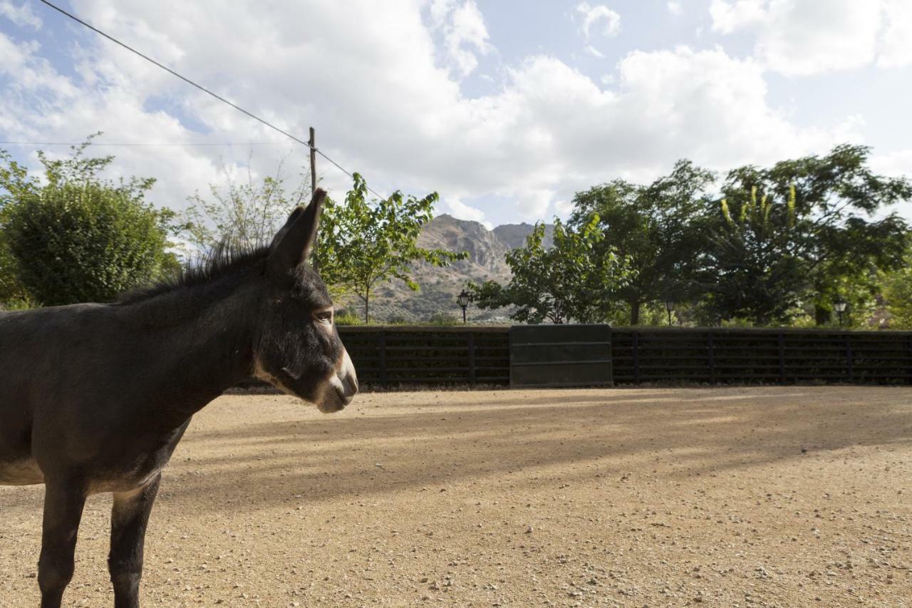 Cortijo La Algallumbilla Carcabuey Dış mekan fotoğraf